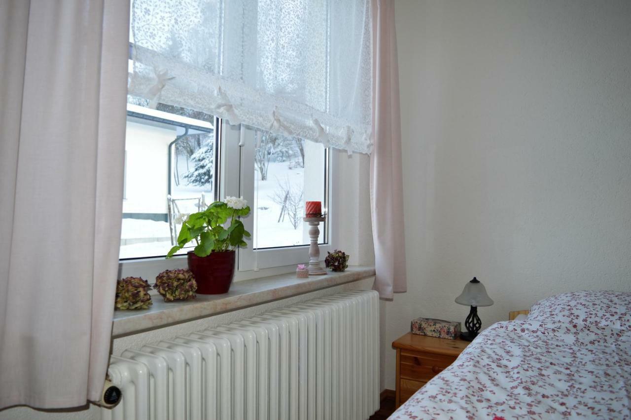 Falkenstein  Deine Ferienwohnung מראה חיצוני תמונה